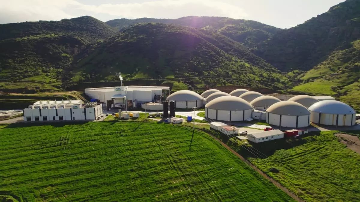 ARF Bio Halka Arzında Yoğun İlgi: Talep 4 Katına Yaklaştı