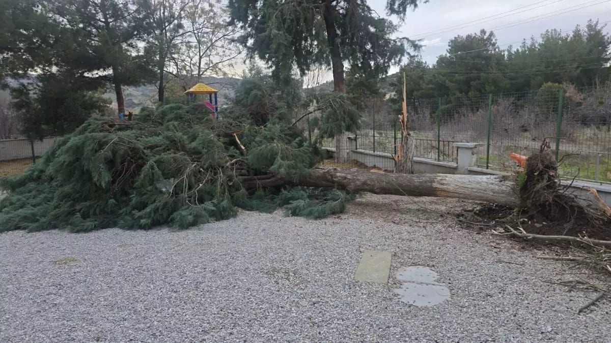 Buldan’da Kuvvetli Fırtına Hayatı Olumsuz Etkiledi: Bölge Zorda