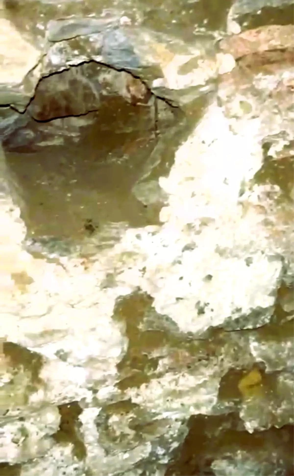 Gaziantep’te Gazetecilik Ailesi: Baba ve İki Çocuğu Aynı Mesleği Paylaşıyor